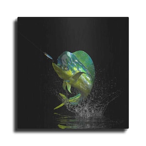 May include: A green and blue mahi-mahi fish leaping out of the water with a fishing lure in its mouth. The fish is surrounded by water droplets and a dark background.