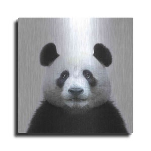 Bamboo Bear by Epic Portfolio Metal Wall Art