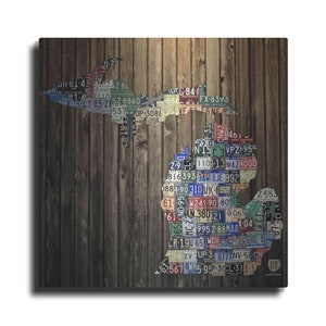 Michigan Counties License Plate by Design Turnpike, Metal Wall Art