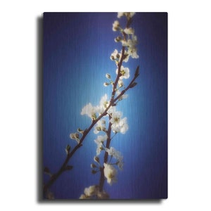 Almost Blue by Cesare Bellassai, Metal Wall Art