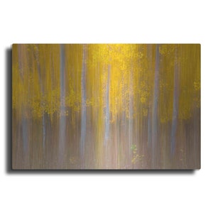 Changing Seasons by Darren White, Metal Wall Art