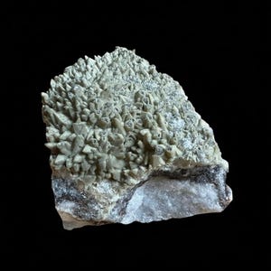 May include: A natural mineral specimen featuring a cluster of small, light green crystal formations atop a base of white and gray rock. The crystals have a spiky, textured appearance, and the background is black.