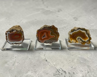 Rare Laguna Agates from Mexico