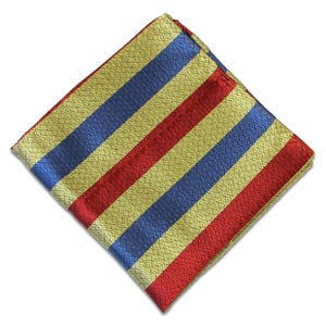 Fazzoletto da taschino in seta antipiega del QDG Subalterns Action Group immagine 1