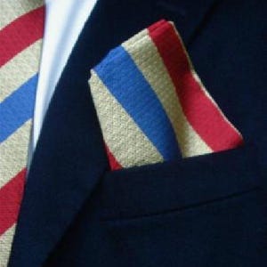 Fazzoletto da taschino in seta antipiega del QDG Subalterns Action Group immagine 2