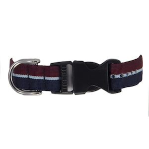Royal Air Force (RAF) Dog Collar