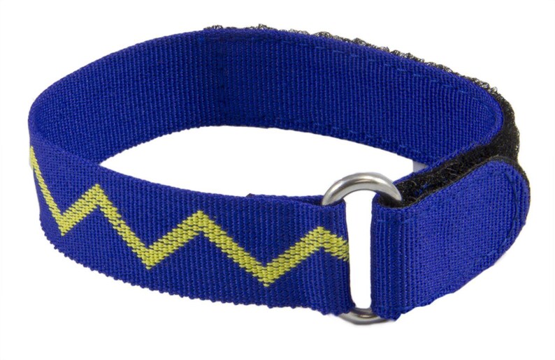 Royal Scots Dragoon Guards Vandyke Sports Watch Strap image 1