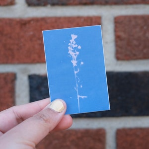 A Cyanotype • Photo Art Rectangle Sticker • Durable Vinyl Sticker • Laptop Sticker • ObscuraPrintShop • Scratch Proof • Waterproof Sticker