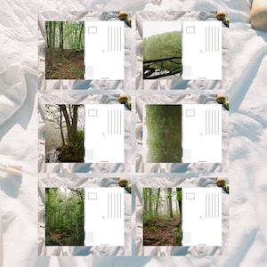 The Greens of Nature 120 • 4 x 6 inch Photo Postcard Pack • ObscuraPrintShop • Handmade Postcards • Film • Snail Mail • Pen Pals • Analog