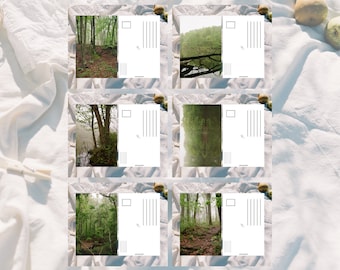Nature Photography Postcard Set • Forest Scenes, Pen Pals (4x6 inch)