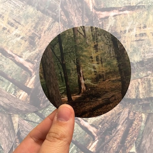 Quiet Moment on a Hike • Photographic Circle Sticker • Durable Vinyl Sticker • Laptop Sticker • ObscuraPrintShop • ScratchProof • Waterproof
