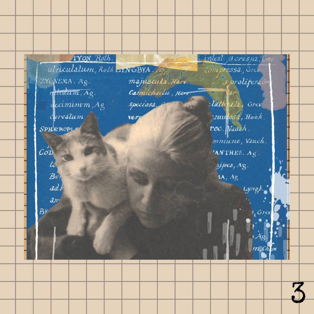Vintage Digital Collage Postcard Pack Obscuraprintshop - Etsy