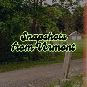 Pacote de cartões postais Vermont 120Film • ObscuraPrintShop • Cartões postais artesanais • Impressão artística • Correio tradicional • Amigos por correspondência • Fotografia analógica • Filme