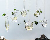 Hanging Vase,Plant Bottle,Hydroponic Container,Green Dill Vase,Small Ornaments,Transparent Glass Vase,Creative Vase,Viewing,Decoration,Gifts