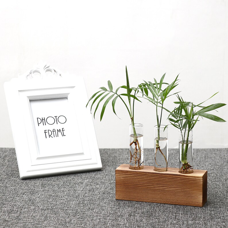 Test Tube Vase,Wooden Frame Vase,,Hydroponic Container,Green Dill Vase,Glass Hydroponic Container,Ornaments,Decoration,Gifts.