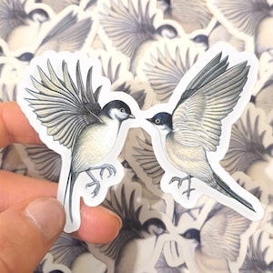 Sticker vinyle transparent, couple d'oiseaux illustrés à l'aquarelle - "Hirondelles de rochers"