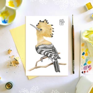 Carte postale illustrée "Oiseaux de la Côte d'Azur" - Huppe Fasciée (A6)