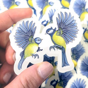 Sticker vinyle transparent, couple d'oiseaux illustrés à l'aquarelle - "Mésanges Bleues"