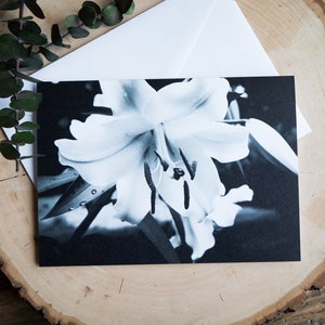 Greeting Card, Black and White Lily Photograph, Blank Inside, Comes with White Envelope