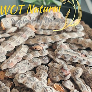 Organic Herbal Babool Phali Pods Vachellia Acacia Nilotica, Nep Nep Babool Phali Babul