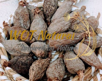 Cosses entières de piment d'alligator africain | Épices Ataare| Mbongo| Atakou| Épices africaines| Assaisonnement Africain| Herbes africaines