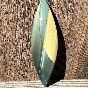 Blue Mountain Jasper Cabochon