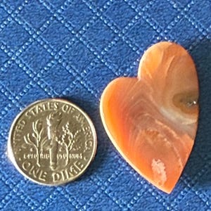 Puede incluir: Una gema en forma de coraz&oacute;n, de color naranja y blanco, junto a una moneda de diez centavos estadounidense. La gema tiene una superficie pulida con patrones naturales. La moneda muestra el perfil de Franklin D. Roosevelt y las palabras "ONE DIME". El fondo es una tela azul con estampado de diamantes.
