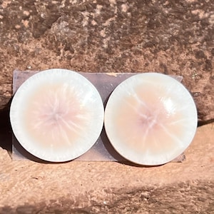 May include: Two round, off-white plugs with a pinkish-purple center and radial lines. The plugs are set on a clear, rectangular base, resting on a rough, brown stone surface. The plugs have a pearlescent sheen.