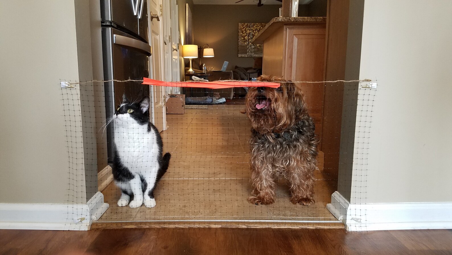 Simple Net Pet Small Dog Gate Net Barrier Fence Etsy