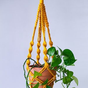 May include: A yellow macrame plant hanger with a terracotta pot and a green plant hanging from it.