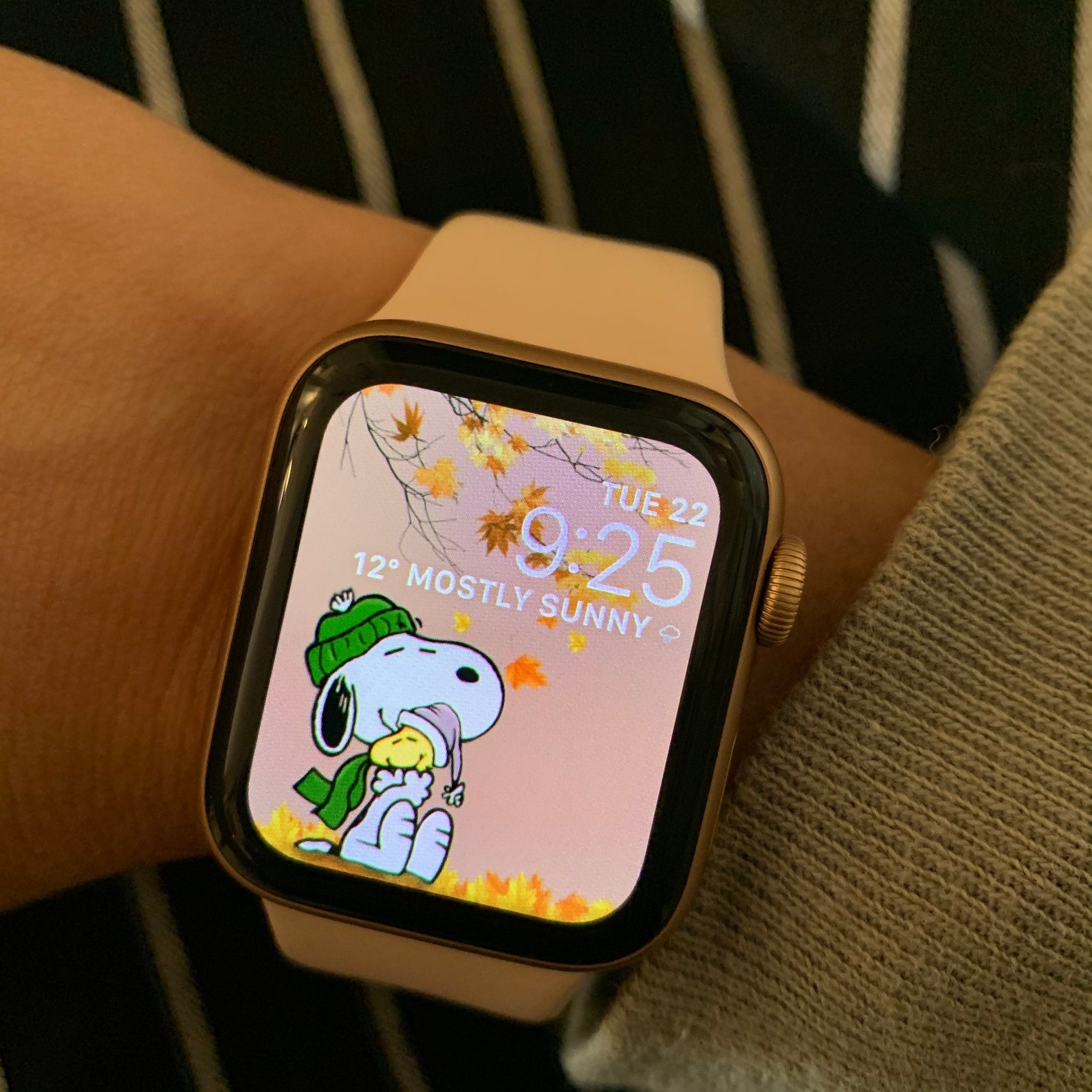 Herbst Snoopy & Woodstock Apple Watch Wallpaper geeignet mit | Etsy