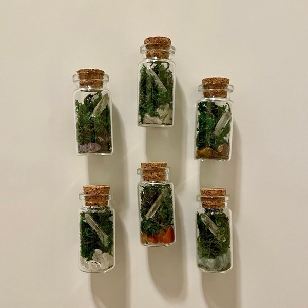 Mini Terrarium Etsy