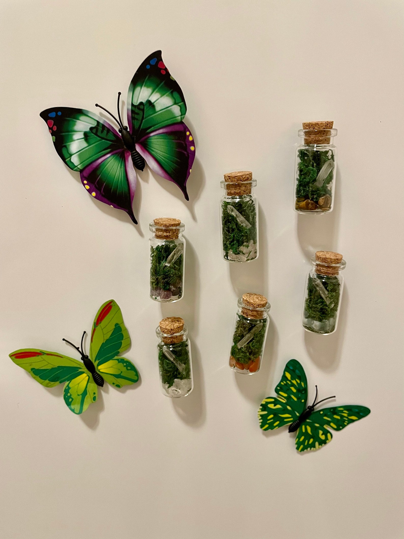 Mini Terrarium No Maintenance Terrarium Plant Etsy Canada