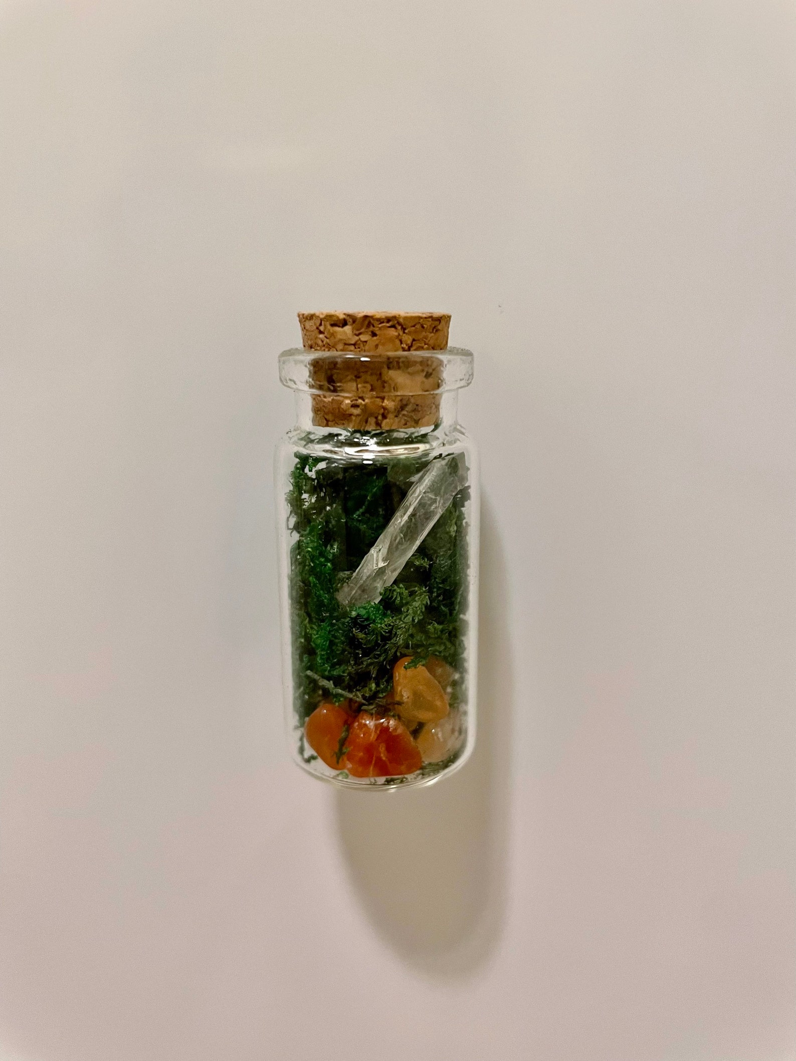 Mini Terrarium No Maintenance Terrarium Plant Etsy Canada