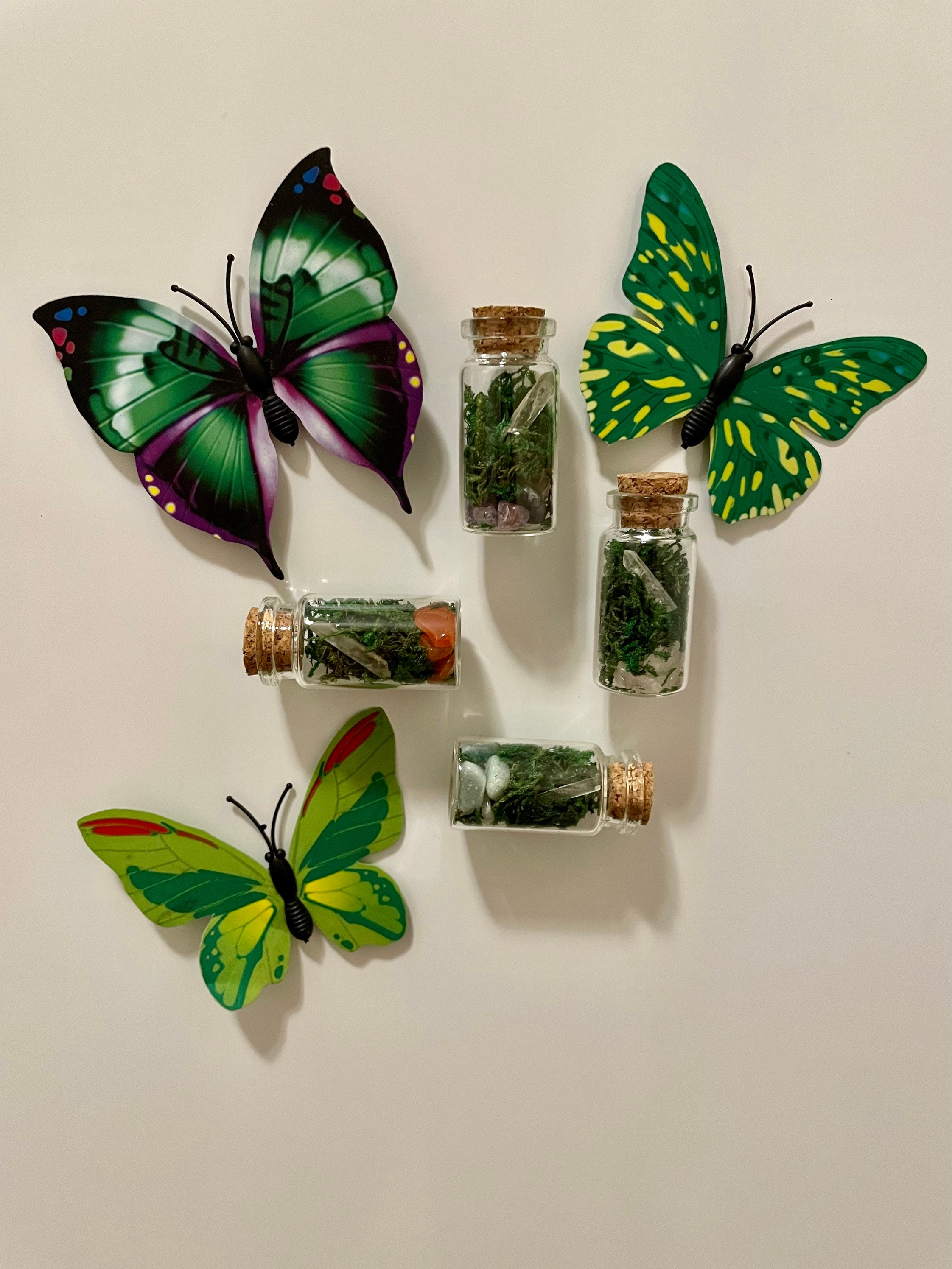 Mini Terrarium No Maintenance Terrarium Plant Etsy Canada