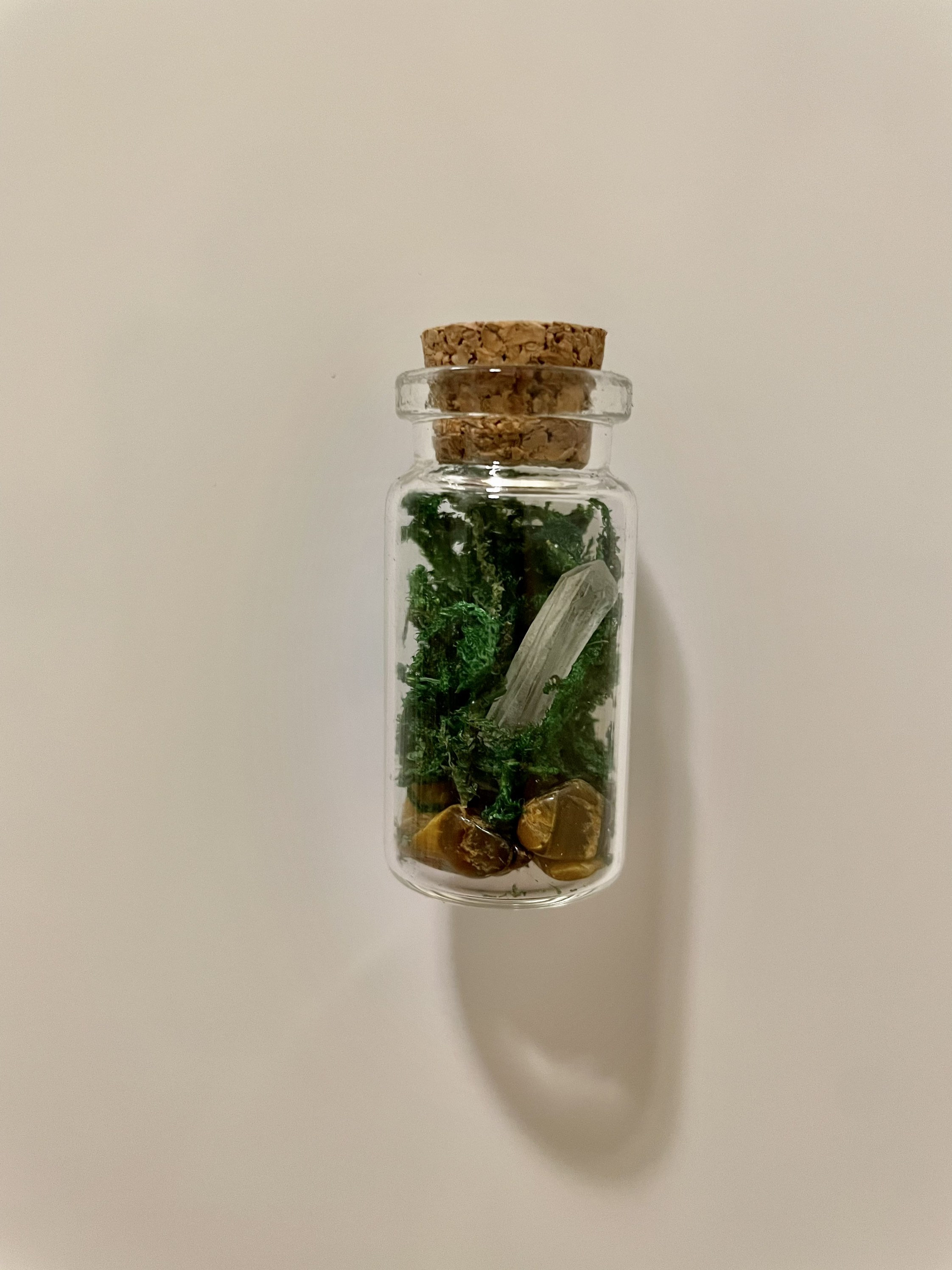 Mini Terrarium No Maintenance Terrarium Plant Etsy Canada