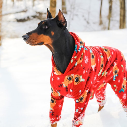 Large Dog Raincoat Winter Coat EXPLORER Etsy