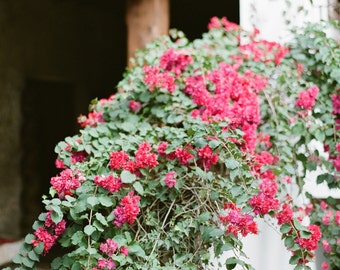 Fine Art Print-Antigua, Guatemala