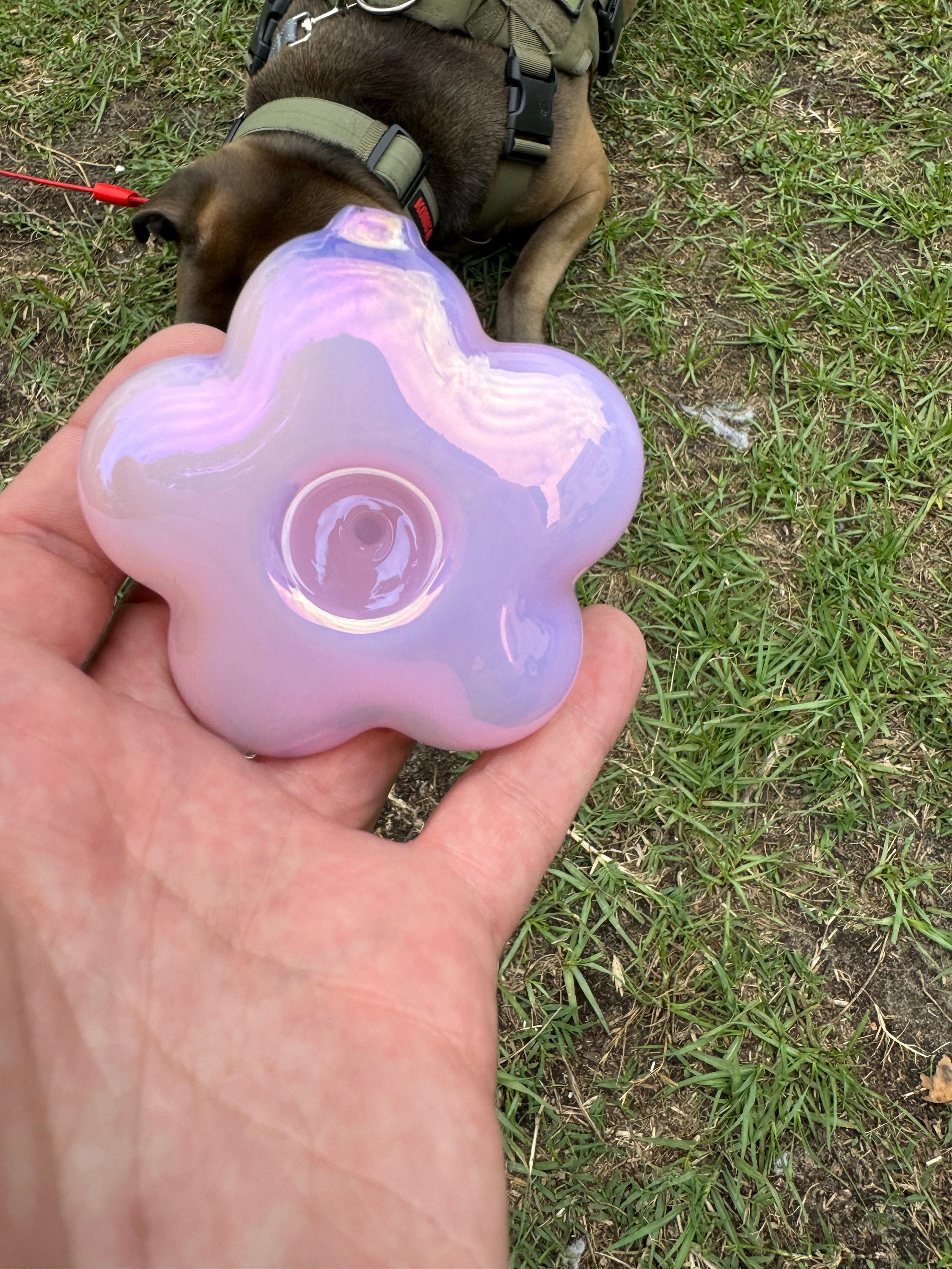 Pipe Glass Flower Daisey Pipe Flowers Pipe Pipe Glass Holographic Pipes Pink Purple