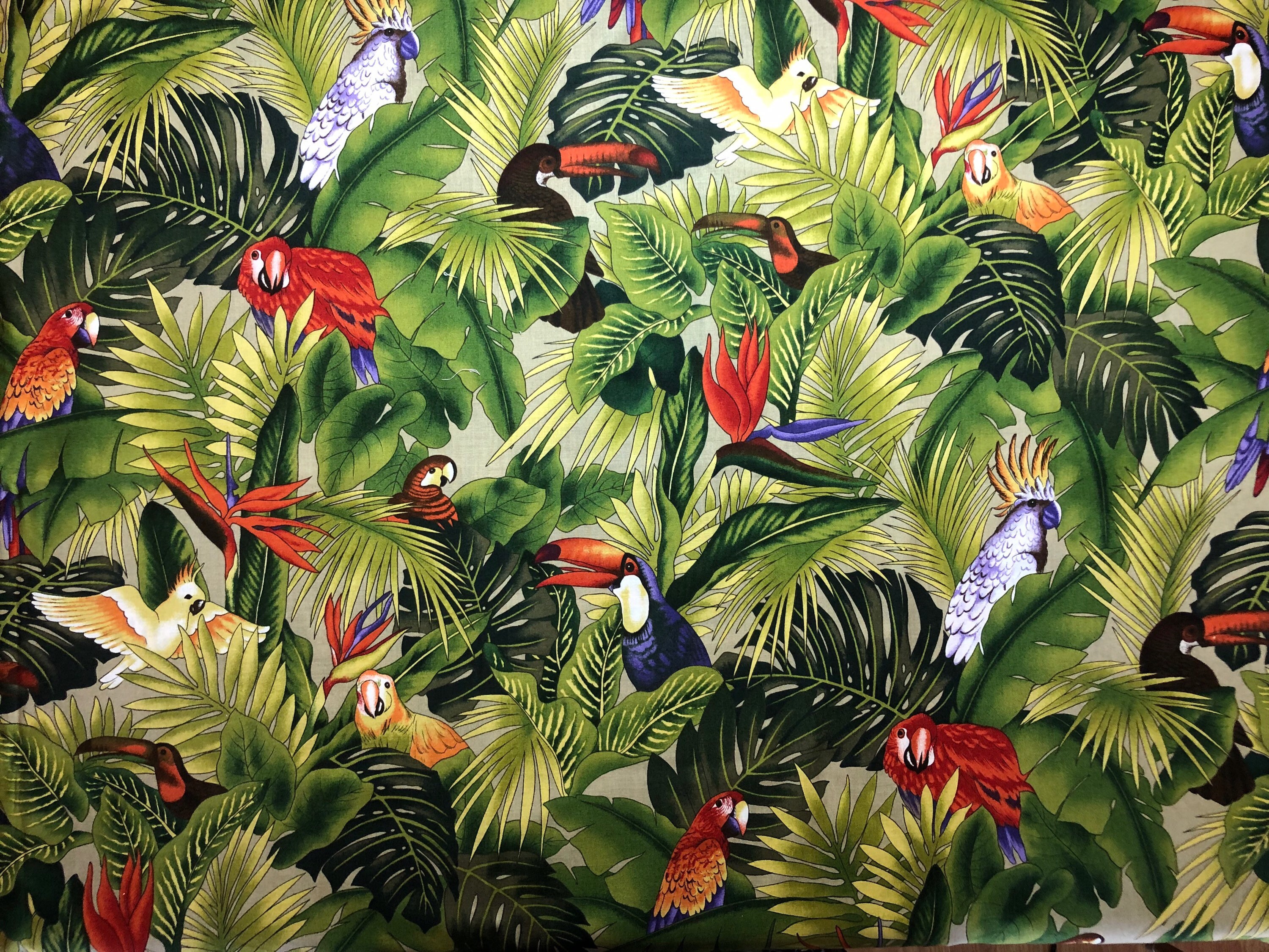 Robert Kaufman Tropical Birds Fabric Etsy