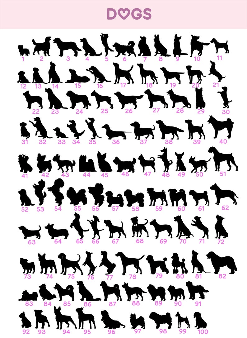 May include: A black and white image of 100 different dog breeds, numbered 1 through 100. The image is on a pink background with the word "DOGS" in pink letters at the top.