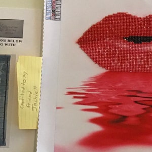 finished modern art finished lip diamond by number w/how to frame instructions