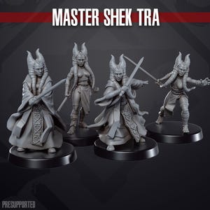 May include: Four gray miniature figures of a female character with horns and long hair, holding swords. The figures are on black circular bases. The text "MASTER SHEK TRA" is at the top. The word "PRESUPPORTED" is at the bottom.