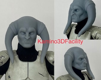 1:6 Animerad Saesee Tiin Huvudskulptur för Specialdesignad 12” Figur