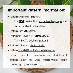 This image describes important information about this crochet hanging basket pattern such as the language (UNITED STATES ENGLISH ONLY), the skill level, etc.