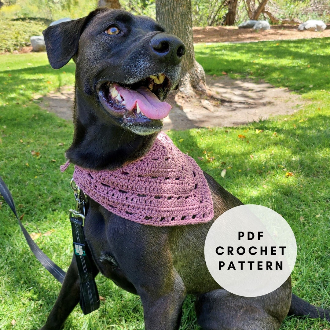 Crochet Dog Bandana Pattern PDF, Crochet Pet Bandana, Crochet for