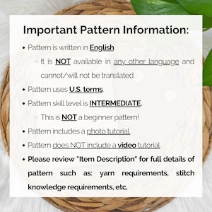 This image describes important information about this crochet kindle cover pattern such as the language (UNITED STATES ENGLISH ONLY), the skill level, etc.