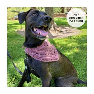 Crochet Dog Bandana Pattern PDF, Crochet Pet Bandana, Crochet for Dogs, Crochet Dog Accessory