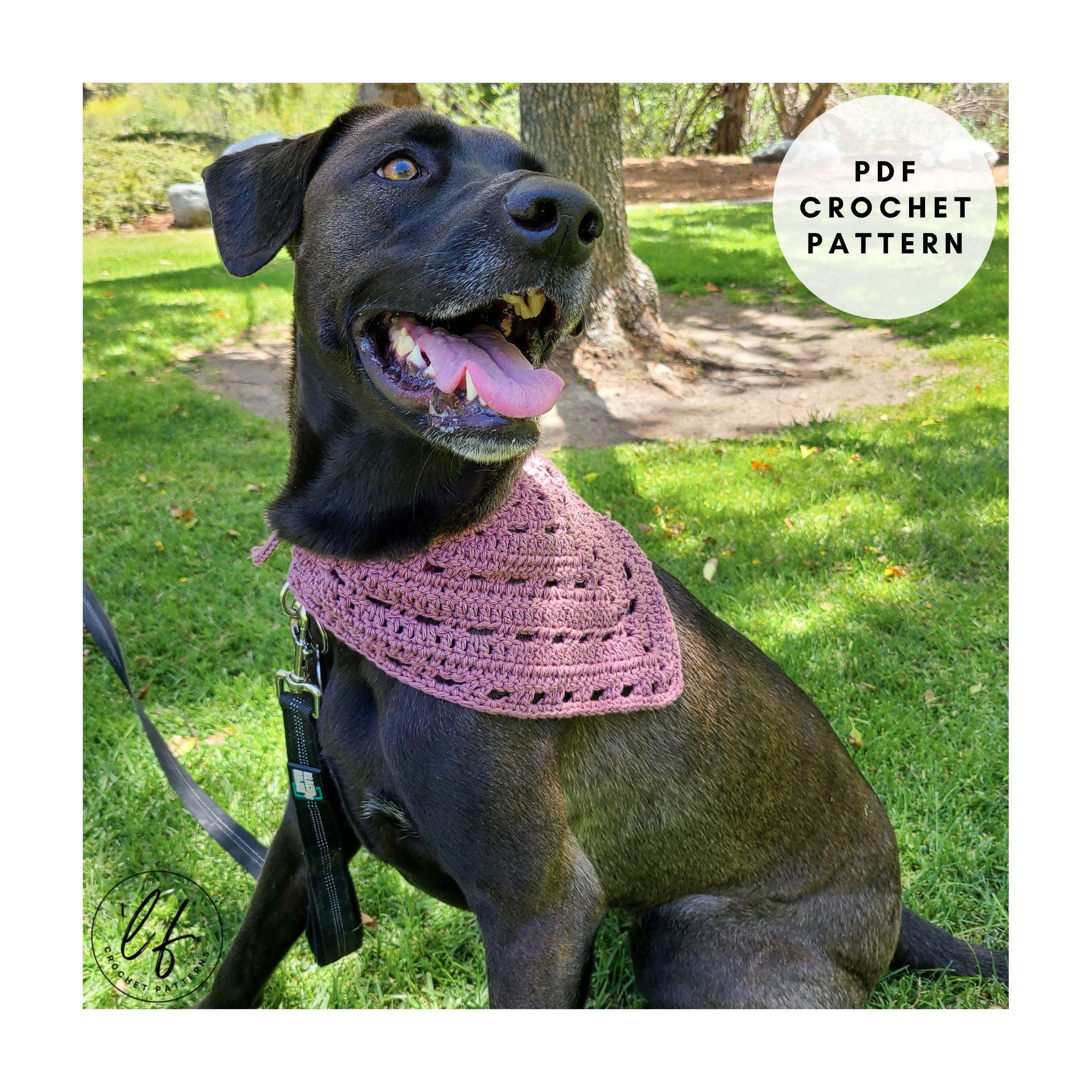 40 Dog Crochet Patterns for Amigurumi, Wearables, and Giftable Makes 35 Crochet Dog Bandana