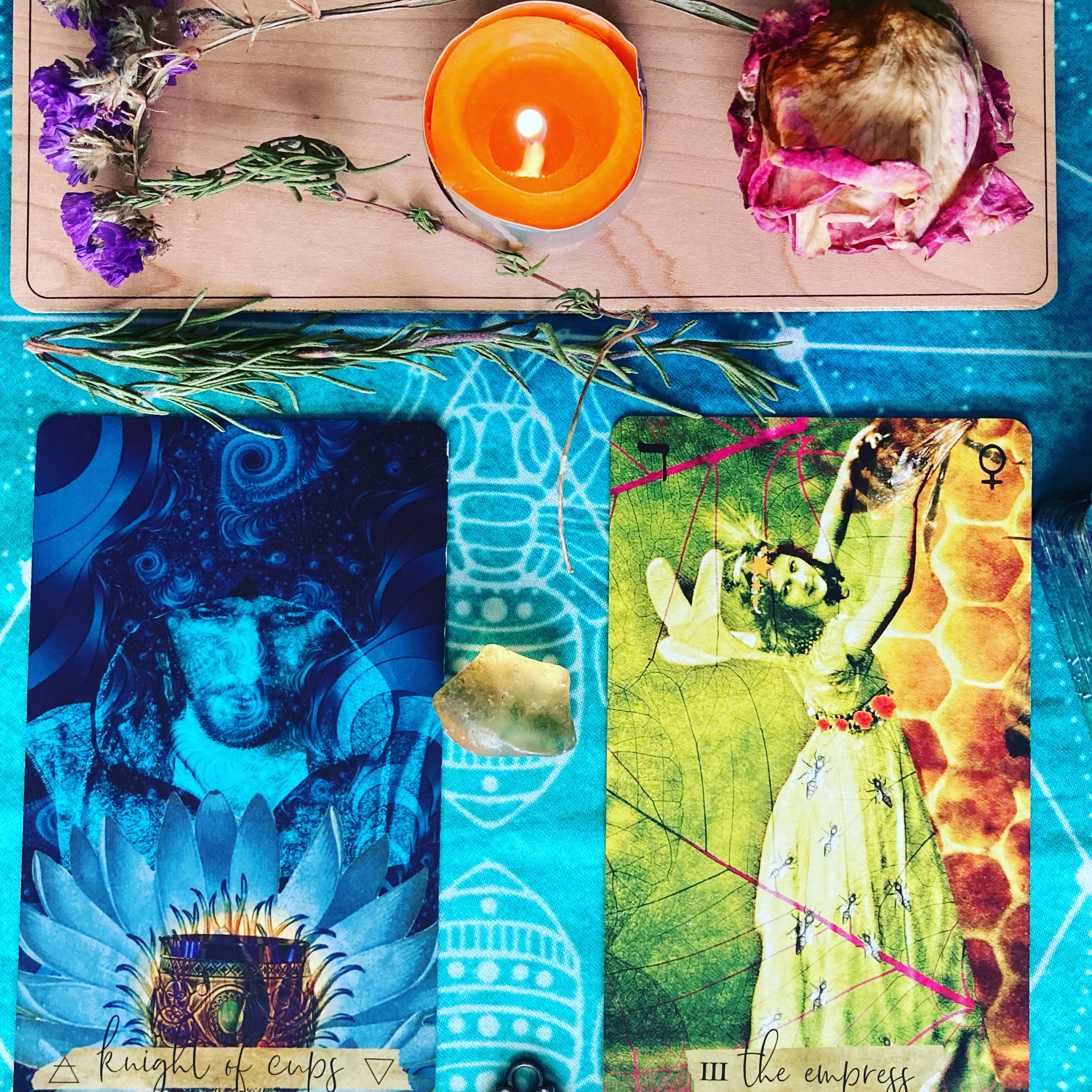 The Sacred Bee Tarot is a bee themed tarot deck — Bee Tarot